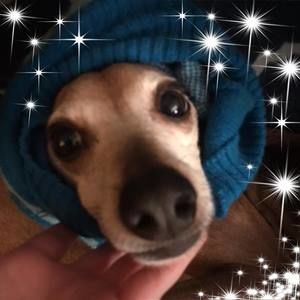 Meet your Posher, Ellen